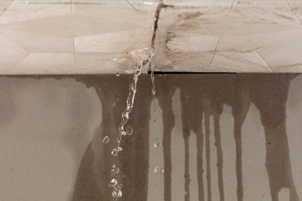 Professional Sewage Cleanup technician working in Milan, IL